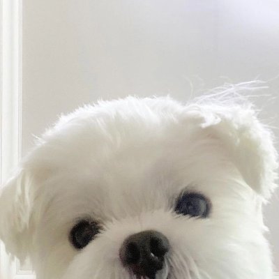 비계 거주중 •••