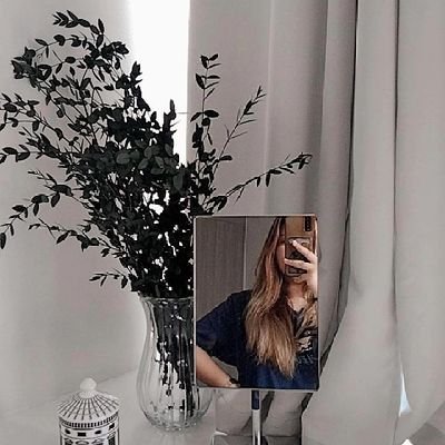 angellapgls's profile picture. nyctophilia