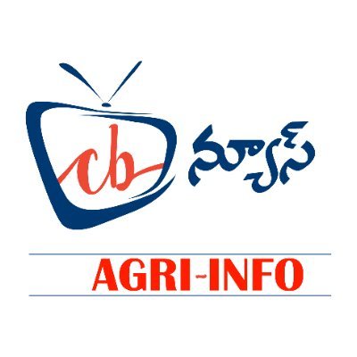 CB News Hyderabad