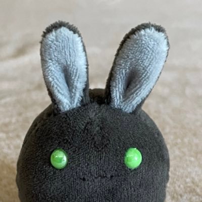 🐰最推し。🐴🐰、🐦🐰、ハマ🐰、大好きです。ほぼ見る専です。無言フォロー失礼致します。