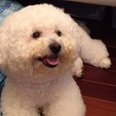 Zoe Leung - @egzoel - Twitter