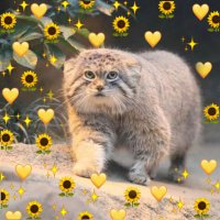 海ちゃん大好きマヌルかっぱ🌻 (@himayellowking) 's Twitter Profile