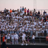 2024-25 MSHS Student Section (@bulldogsection) 's Twitter Profile