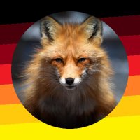 🇩🇪 Galadrian 🇭🇺(@TurboGaladrian) 's Twitter Profile Photo