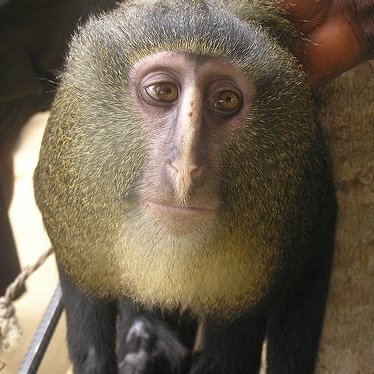 guappok00's profile picture. Disregard woman acquire currency