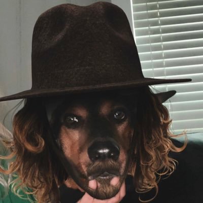 KCChiefs007BBQ's profile picture. Go Chiefs