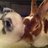 lynn_richards's profile image