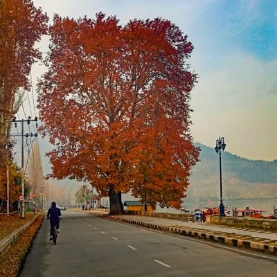 DM_097's profile picture. 🍁 || Software Engineer