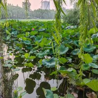 健身教练周文涛 (@paulmoon682641) 's Twitter Profile