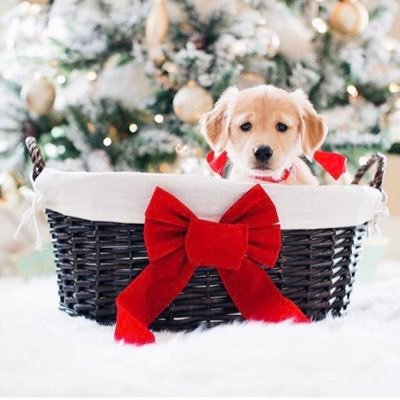 Q8H87JKvrm54042's profile picture. ふぉ〜ゆ〜のおともだち❄️