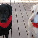 Gina Patrick - @GinaGP1965 - Twitter