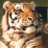qybacavupum's profile image