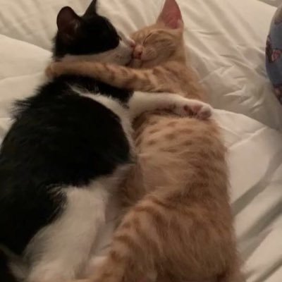 babyblue3434's profile picture. ..
