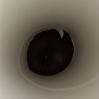 ぱぁ (@lemon_abcml) 's Twitter Profile