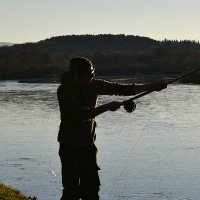 Stoddy (@stoddydon) 's Twitter Profile