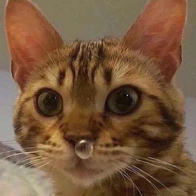 シさんのプロフィール画像