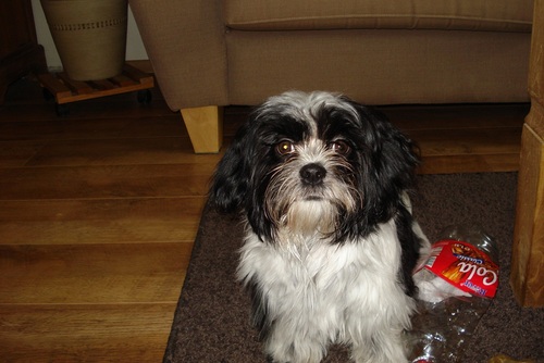 yuppie63's profile picture. 