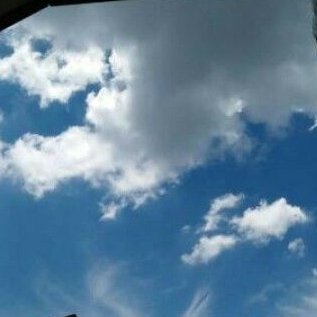 Mutiara10_1's profile picture. 