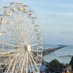 Friends of Southend (@friendssouthend) Twitter profile photo Friends of Southend (@friendssouthend) Twitter profile photo