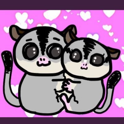 フクロモモンガ【男の子】R2.10.12生まれR3.1.23お迎えの『ふくちゃん』4歳10ヶ月【女の子】R4.7.27生まれR4.11.20お迎えの『ゆきちゃん』3歳1ヶ月ふたり合わせて『幸福ペア』の事・日常の事など色々ポストしていきたいと思います💐 お友達たくさんできるといいなぁ✨よろしくお願いします🥰💖