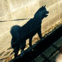 こより (@paperstring) 's Twitter Profile