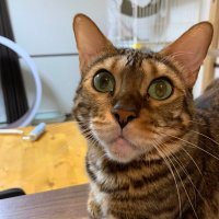 jesse012215 (@jesse012215) 's Twitter Profile