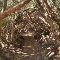 Lorbeertunnel (@alexandermoldan) Twitter profile photo