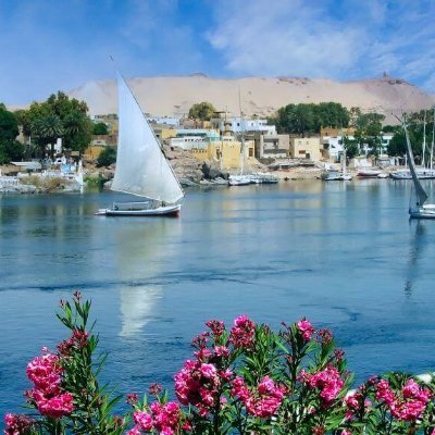 Patatachin's profile picture. 