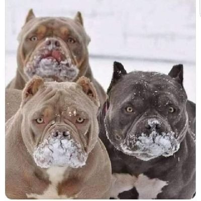 Robert1377401's profile picture. 