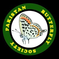 Pakistan Butterfly Society (@pakbutterflysoc) 's Twitter Profile Photo
