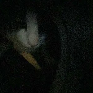 source2gremlin's profile picture. i like source 2