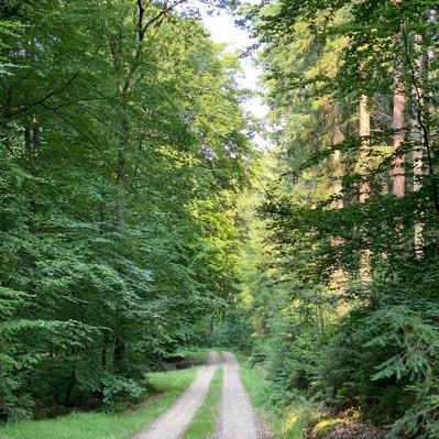 Normalität mit 💓,naturverbunden,🚜Gesundheitswesen, Studiert, ohne Denkverbote 💃🏼Engagiert für alte mündige Menschen🤩gegen Extreme, für Demokratie🕊️🕊️🕊️