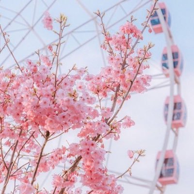 @shoq1343