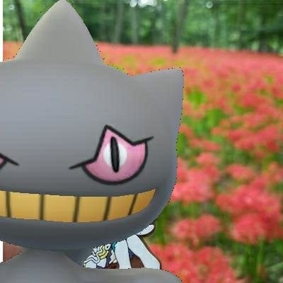 stoneさんのプロフィール画像