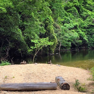 sarayan0250's profile picture. ベビー用品などのマーケター→https://t.co/P2D4xKHCmD  BC3期→ITエンジニア転職に挑戦中/勉強垢