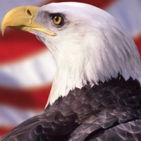 skippy usa (@usaskippy62371) 's Twitter Profile
