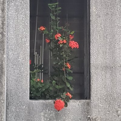 entropybrdle's profile picture. ADD hyper focus type. Learning to aak the right questions.