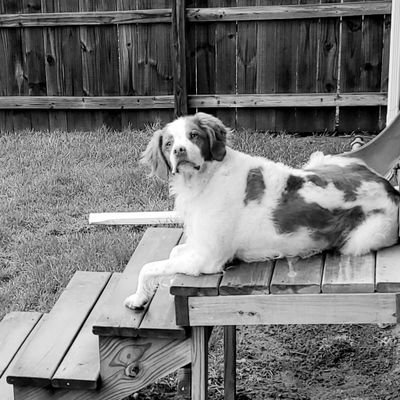 AlanHardy89's profile picture. 