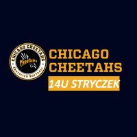 Chicago Cheetahs- Stryczek 14U(@CC_Stryczek_14U) 's Twitter Profile Photo