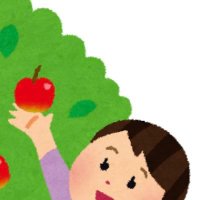 りんごまる (@shoooooocham_) 's Twitter Profile