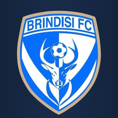 Benvenuto nella pagina ufficiale del Brindisi FC.