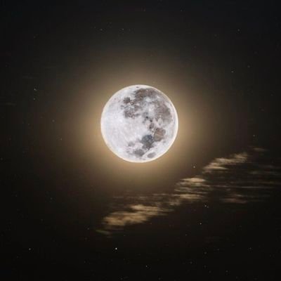 khemmet5's profile picture. ✨𓂀✨
wants some fun