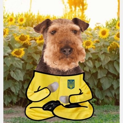 Hi a Welsh Terrier fella is here.🐕😊  I like dancing, playing the piano,calisthenics and supporting Ukraine. 💛💙 🧘🏽🎹🇺🇦