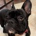 Matilde (@itzmatag) Twitter profile photo Matilde (@itzmatag) Twitter profile photo