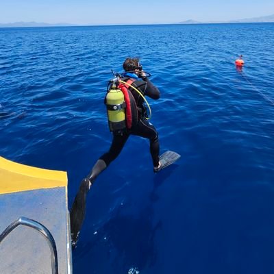 Energy Engineer from @EPFL.
Writing and discussing about energy, with focus on 🇨🇭.
Tweets & opinions my own.
Dive guide when not working.