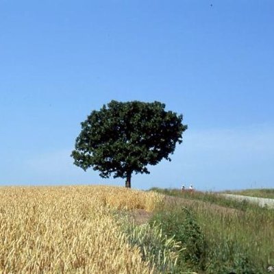 rakutentravel9's profile picture. 全国の観光名所を案内するよ❣
「気になる」「行ってみたい」って気持ちを大切に❣
旅行に行くなら楽天トラベルが一番お得❣
ポイントで１０％は安くなるよ❣
#楽天 #楽天room #楽天トラベル #旅行 #旅 #国内旅行

👇楽天のキャンペーンでお得に旅行するならココ❣