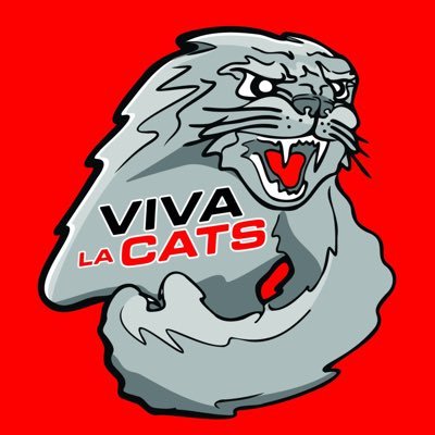 VIVA LA CATS 🐻‍❄️🐈‍⬛‼️ Profile