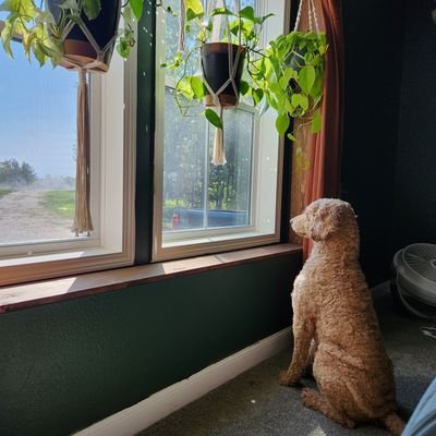 btay90's profile picture. 