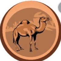 MAAN Institute for Diplomacy and Global Affairs (@maanglobal) 's Twitter Profile