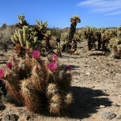 MK2lcF8MYyxp5h2's profile picture. ㅎㅎ